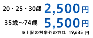 25・25・30歳　2,500円 35～74歳　5,500円 ※上記の対象外の方は19,635円